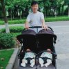 来来的头像