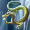 龙哥（退）的头像