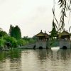 一片云的头像