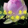 榴莲的头像
