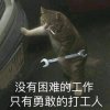 强子的头像