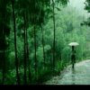 流云风声的头像