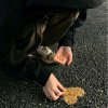 肥宅月的头像