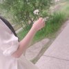 ☆B.H的头像