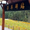 阳光明媚的头像