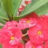 牛总的头像