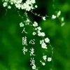 淡定的头像