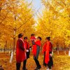 无忧无虑的人的头像