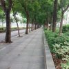 大路的头像