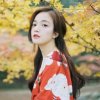 潇洒走一回的头像