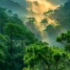 雨荷（忙）的头像