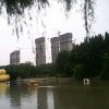 开心快乐每一天的头像
