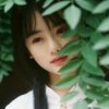 晴空万里的头像