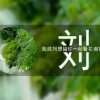 铭ji于心的头像