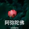 《兰花》的头像