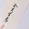 Monster的头像