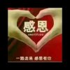 君惜缘的头像
