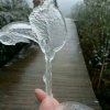 唯有，努力的头像