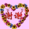 不离不弃的头像