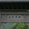 缘份的头像