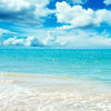 ♞ 海洋的头像