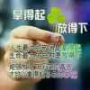 紫依的头像