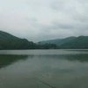 肥羊的头像