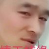 情玉楠缘的头像