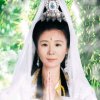 好运来的头像