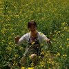 杜鹃的头像