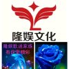 雪狐-隆娱文化的头像
