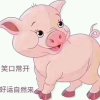的头像