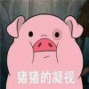 倩宝的头像