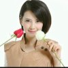 玫瑰歌芸众生的头像