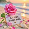 小太阳的头像