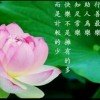 知足常乐的头像