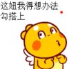 暴风雨的头像
