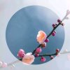 快乐人生的头像