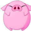 大猪的头像
