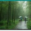 竹林听雨的头像