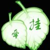 风雨旅程的头像