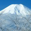 雪山的头像