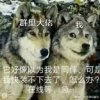 Y.L✎灵楹的头像