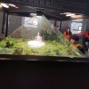 宏发珠宝店的头像