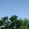 上善若水的头像