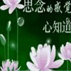  的头像