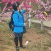 西贝雨燕（转发本人作品勿礼勿花）的头像