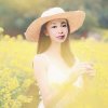 听风晨曦的头像
