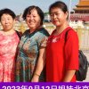 美丽人生的头像
