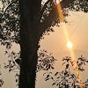 丽韵音悦堂:情歌王子的头像